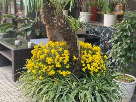 Bảo tàng Quốc gia Việt Nam hay Bảo tàng Dân tộc học: Đến thăm cái nào?