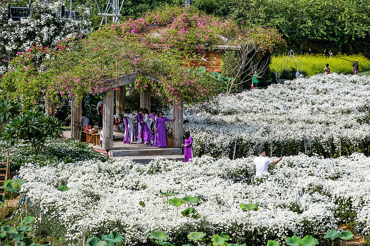 Thung lũng hoa Hồ Tây ở đâu?