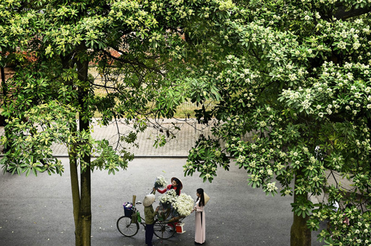 Mùa Thu Hà Nội đi đâu đẹp và ăn gì ngon?