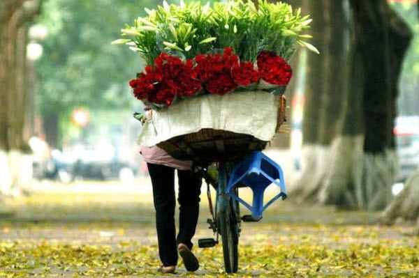 The best time to travel to Hanoi