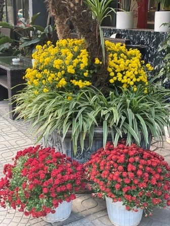 Phượt Hà Nội: Nhật ký phiêu lưu đáng nhớ