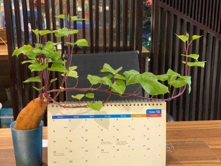 Top 5 khu vực an toàn nhất Hà Nội dành cho du khách