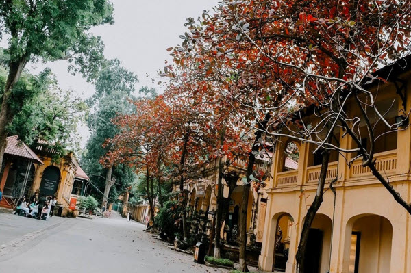 Ping Hotel - Good hotel in Hanoi Old Quarter