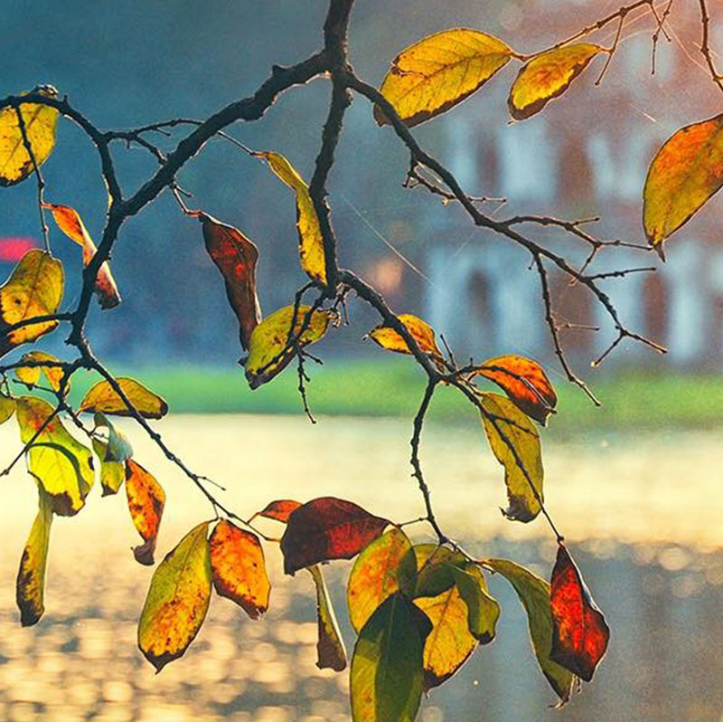 Thời điểm đẹp nhất để du lịch Hà Nội