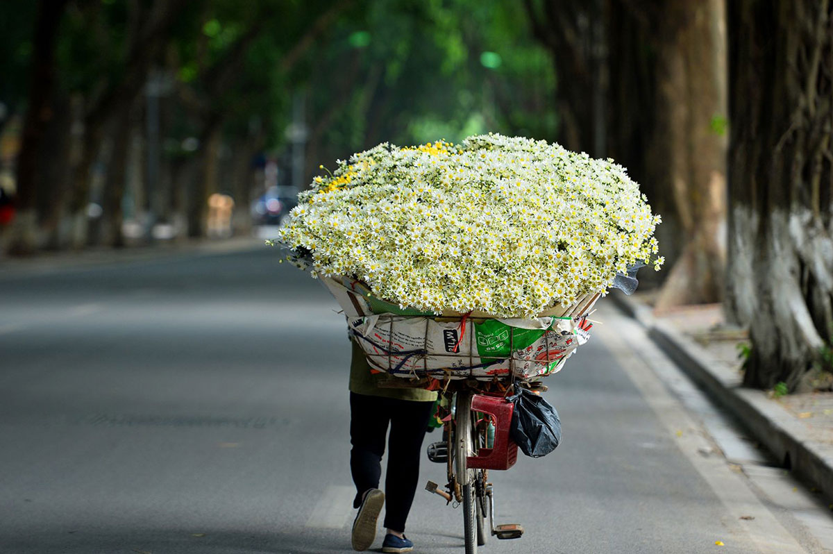 Feel Hanoi's autumn through bicycles full of flowers in the heart of the city