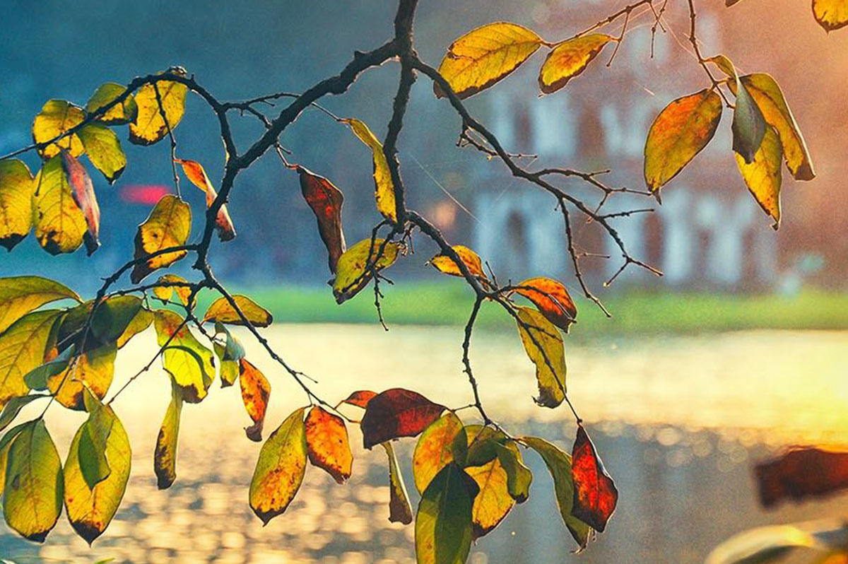 Reminiscent of autumn at famous photography locations in Hanoi makes people stir