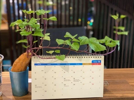 Top 5 sân golf gần Hà Nội dành cho doanh nhân