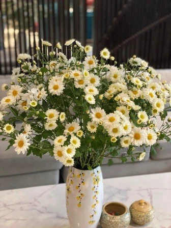 Tour đi bộ Phố Cổ Hà Nội – Kinh nghiệm và mẹo của tôi